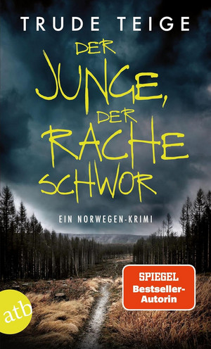 Der Junge, der Rache schwor (Kajsa Coren 1)