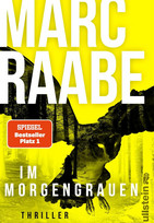 Im Morgengrauen (Art Mayer 4)