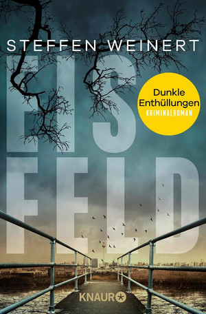 Eisfeld - Dunkle Enthüllungen (Mara Eisfeld ermittelt 2)