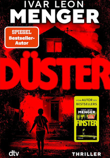 Düster (Die Fälle von Ex-Kommissar Stahl 2)